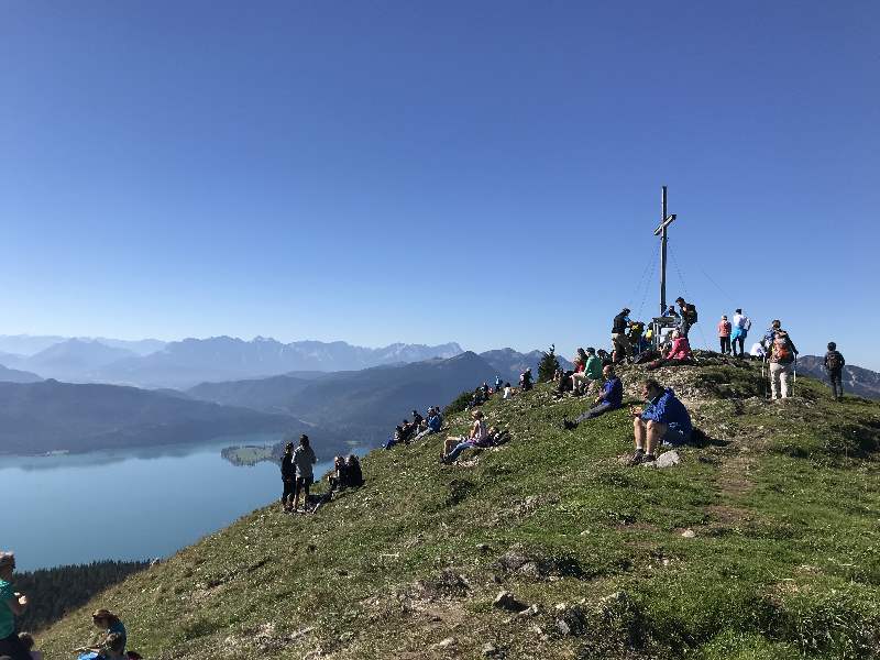 Der Jochberg mit seiner "Gipfelwiese" - alleine bist du hier nicht.