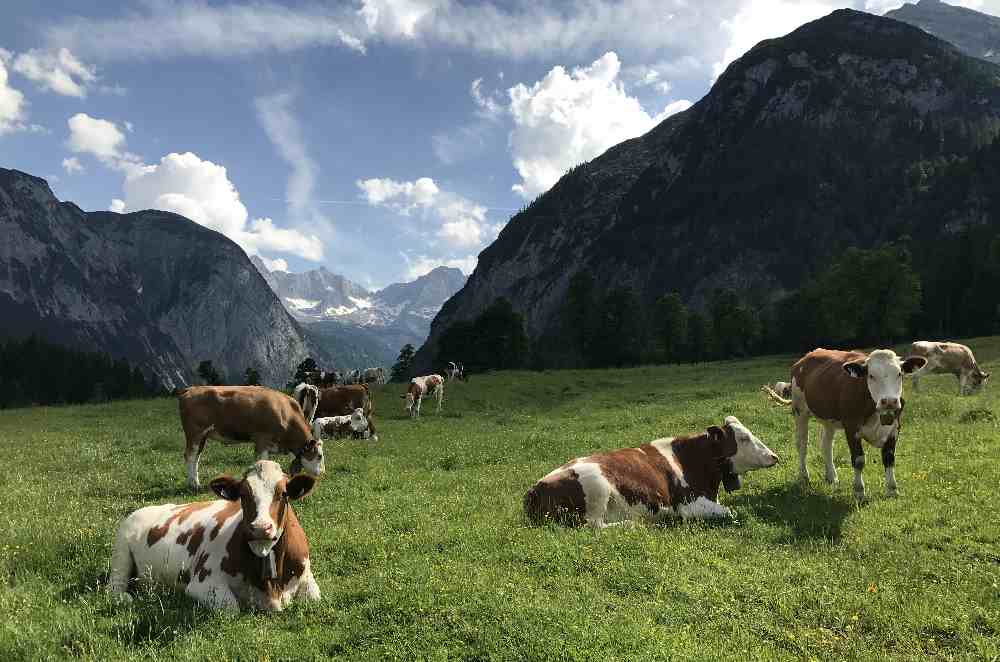 Im Karwendel wandern - bei den Hütten und Almen, ohne die Massen an Menschen. Das mag ich gerne. 