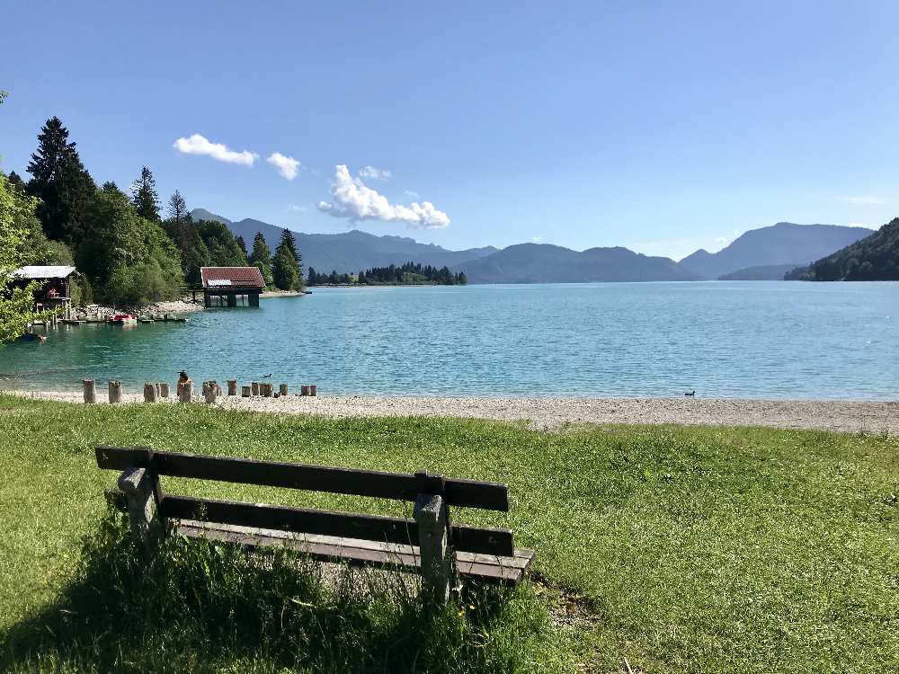 Auf dem Walchensee Rundweg eine gemütliche Rast am See machen und über das Wasser schauen.