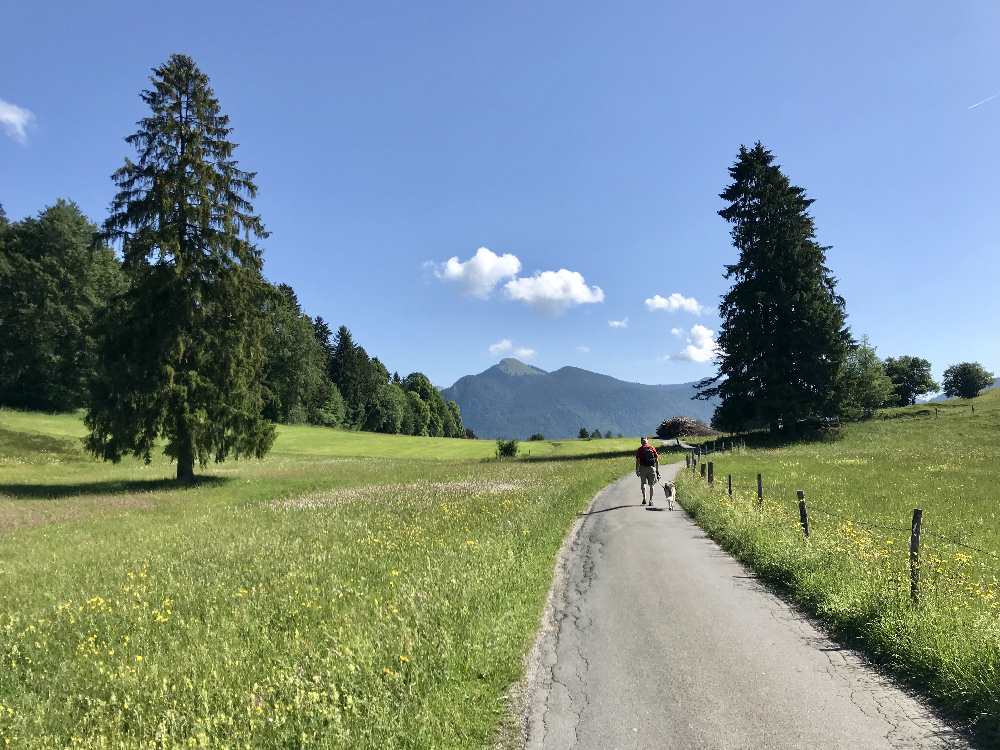 Walchensee wandern auf Walchensee Umrundung zu Fuß