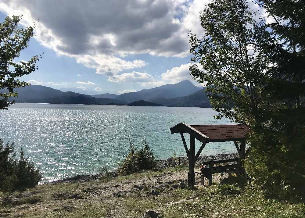 Im Walchensee schwimmen zwischen Sachenbach und Urfeld