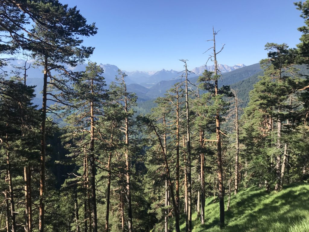 Walchensee Wandern mit Karwendelblick