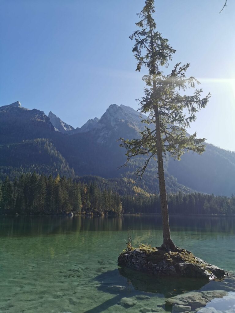 bayerische Karibik - der Hintersee Ramsau mit dem Zauberwald