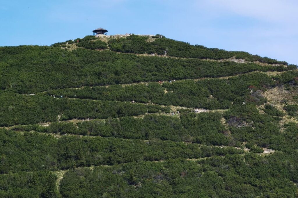 Die letzten Höhenmeter auf den Herzogstand führen in geringer Steigung - es war der Reitweg von König Ludwig II