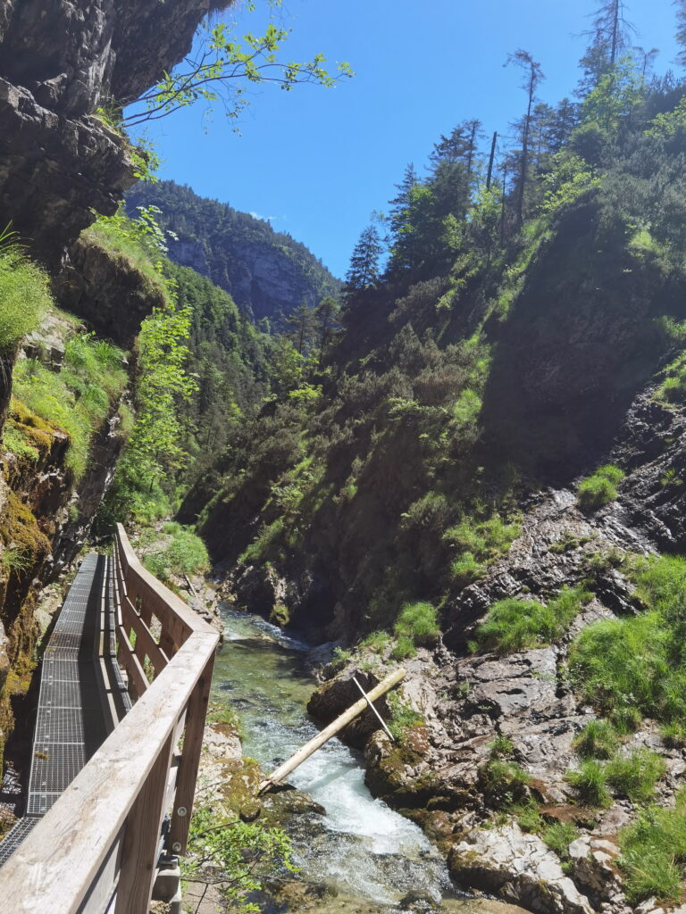 die schönsten Orte in Deutschland - die Weißbachschlucht