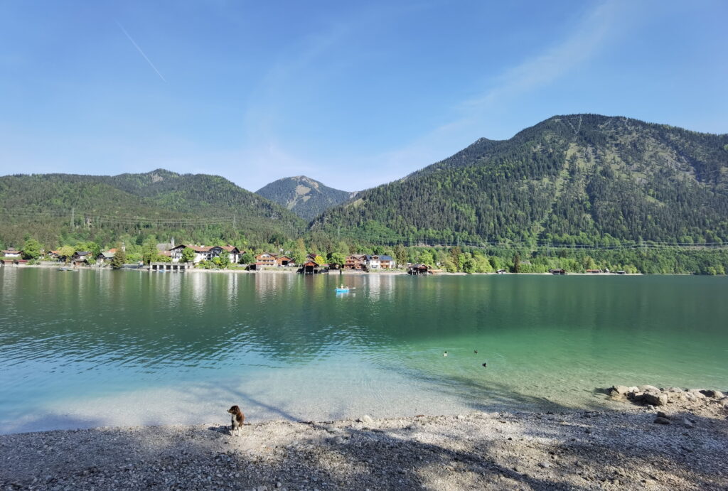 Leicht am Walchensee wandern - der Rundweg um den bekannten See in Bayern