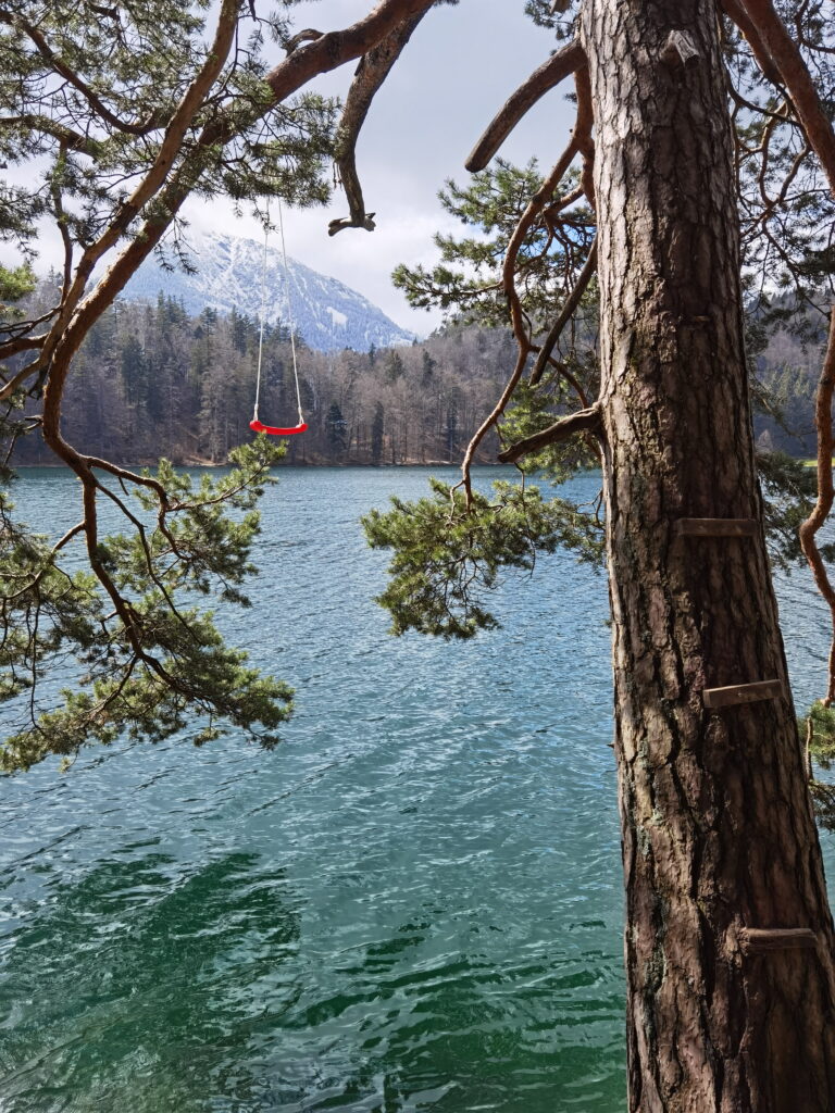 mystische Seen in Bayern - der Alatsee hütet das Geheimnis um das rote Wasser